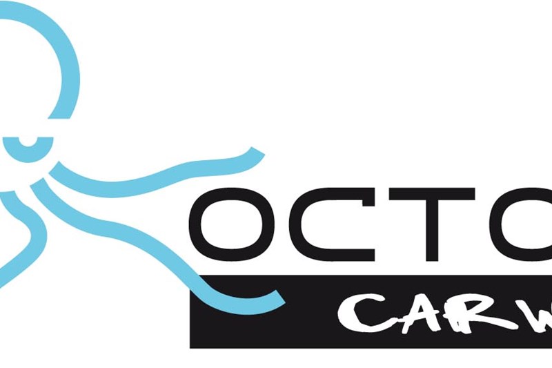 Octopus Carwash Herentals