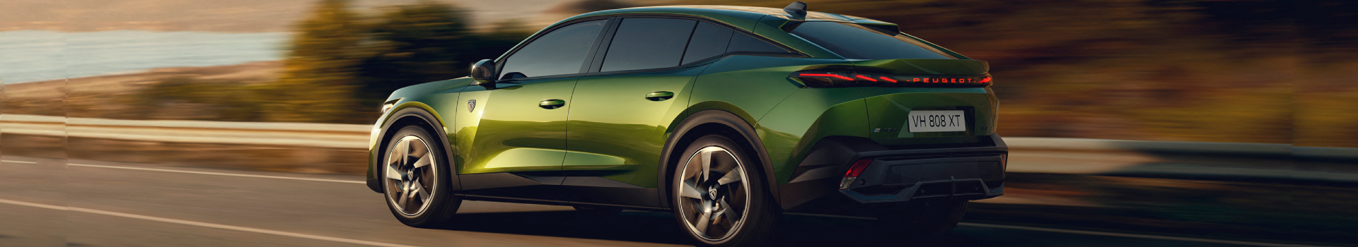 Pure allure in elk detail