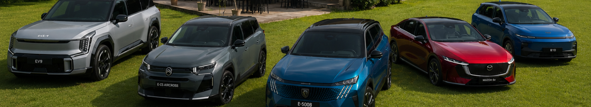 25 elektrische wagens. 5 topmerken.